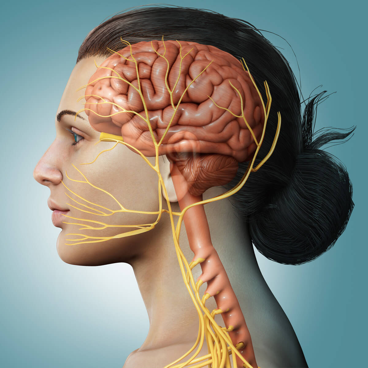 Neural Balance Acupuncture for Vagus Nerve Stimulation: A Holistic Approach to Neural ...